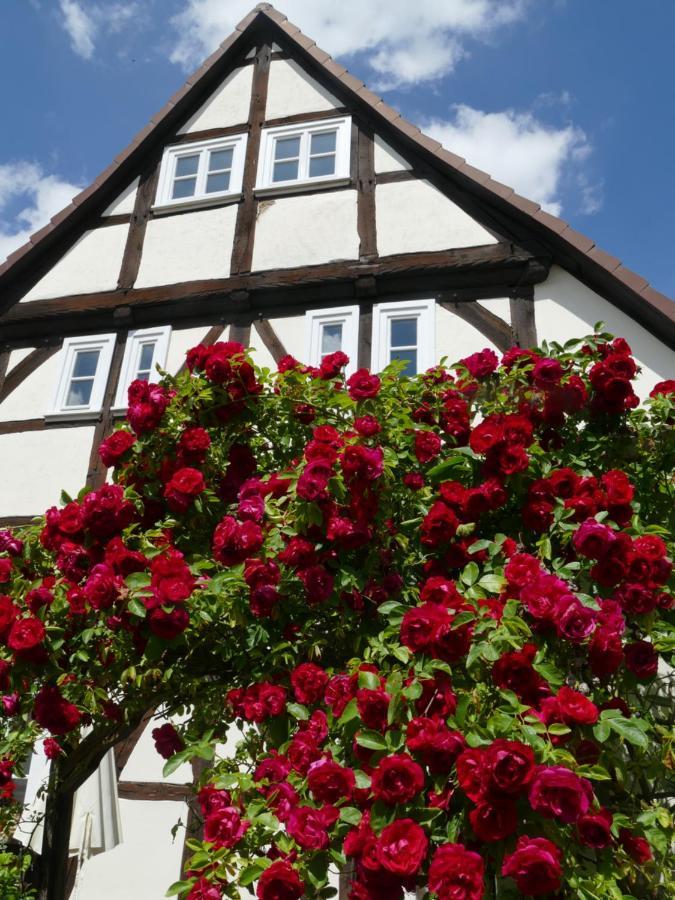 Schoner Wohnen In Volkmarsen Appartamento Esterno foto